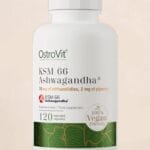 Ashwagandha KSM-66 200 mg / Vejetaryen Kapsül, 120 Kapsül İçeren Besin Takviyesi
